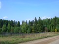 Верх-Речки I, городище