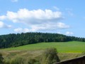 Подгородище I, городище
