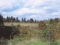 Федотовское городище