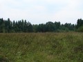 Красныи? Яр I, городище