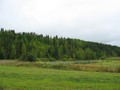 Якшевитово I, городище