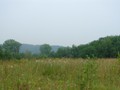 Юго-Камск II, городище