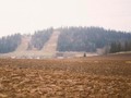Черновское II, городище