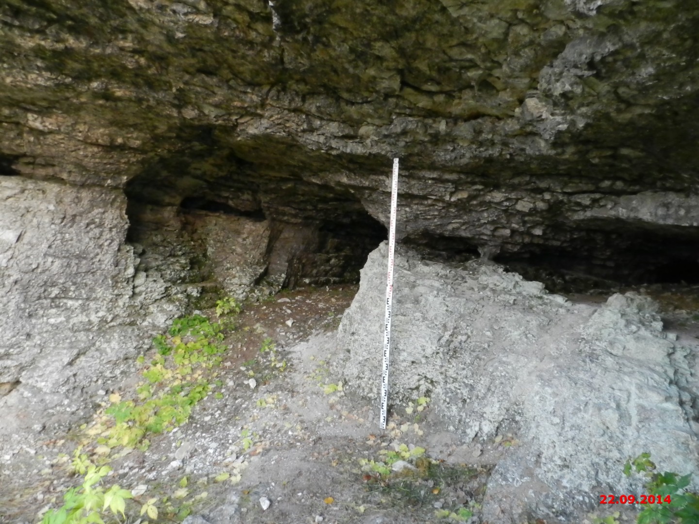 Ласточка пещера (Камень Лазаревскии?, Насад), стоянка