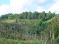 Мало-Никольское I, городище