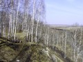 Кунгур III, (Рыбы) городище