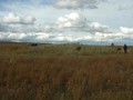 Могильник курганныи? Белоярск-3 (3 кургана), Красноярскии? кра