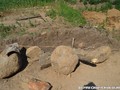 валуны_камера