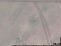 Новосельскии? могильник, курганная группа-