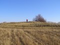 Новосельскии? могильник, курганная группа