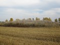 Защита, курганная группа
