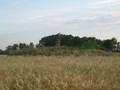 Кузнечиха-II, курганная группа