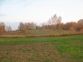 Крутиха-2, курганная группа