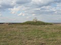 Устьянка 11, курганная группа