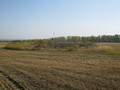 Хлопуново II, курганная группа