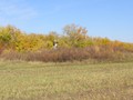 Утянскии? мехток, курганныи? могильник