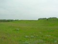 Среднекулундинская стоянка
