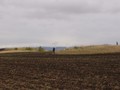 Могильник курганныи? Николаевка-3_