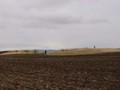 Могильник курганныи? Николаевка-3
