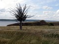 курган святилище в селе Балымеры на обрывистом волжском берегу
