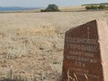 Дубовское (Водянское) городище 