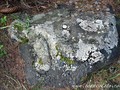дивьев камень кувшиново