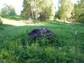 85