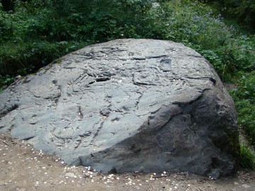 Камень-следовик г.Маура
