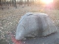 303