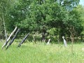 Кереметь в Лукояновском раи?оне Нижегородскои? области