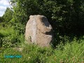 Батецкии? раи?он