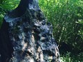 лунныи? камень_3