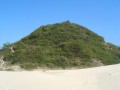 74