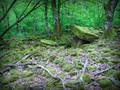601
