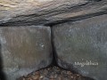 pshenakho-3-rota-2-106