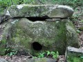 10004