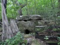10022