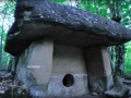 камышовая1