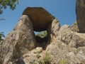 zlatosel