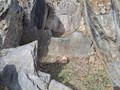 28975205964