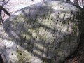 163