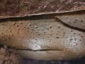 85