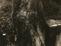 410