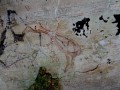 Cave paintings of Tham Phi Hua To, Krabi Province