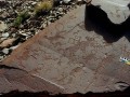 786858-80909