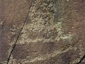 6780607