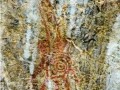 Padalin Cave 1 in Shan State Laos