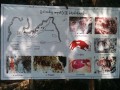 Padah-Lin_Cave