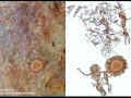 kisar-island-ancient-cave-paint-in-indonesia-3000