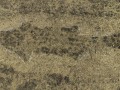 700